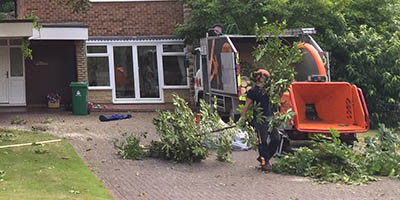 trusted tree surgeons covering derby and south wales